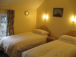 The Red Lion Hotel - 5