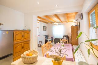 House Pansy - 3