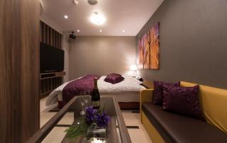 HOTEL FINE - INTO THE PREMlUM - - Okazaki - 2