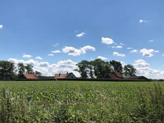 BBruT - Bruges - 8