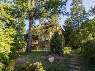 Ferienwohnung Dresden-Pillnitz - Elbhang-Villa - "Am Zuckerhut" - Dresda - 0