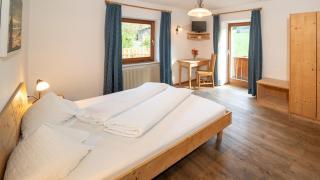 Hotel Profanter - Siusi - 1
