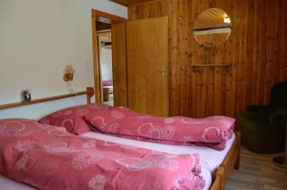Distel - Ritzingen - 6