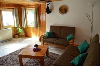 Distel - Ritzingen - 3