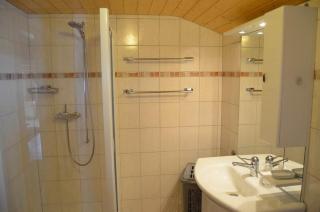 Distel - Ritzingen - 2