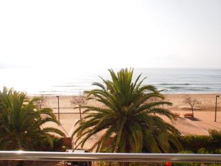 MIRAMAR 10B - Roses - 6