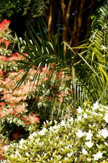 The Dog House, Penryn - 2