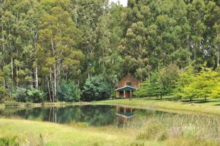 Dunkeld Country & Equestrian Estate - Dullstroom - 9