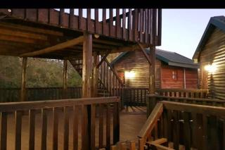 Tranquillity Holiday Home - Marloth Park - 3