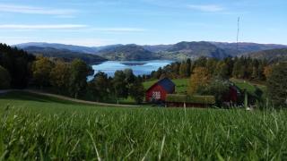 Yttervik gard - Steinkjer - 0