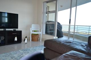 KiteView - Spacious 2 Bedroom with iconic views - Cape Town - 7