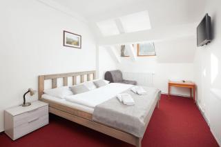ProFamily Hotel TOP Benecko - Benecko - 4