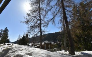 Hofer Apartment - Madonna di Campiglio - 6