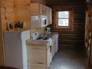 Renegade Log Cabin - Custer - 4