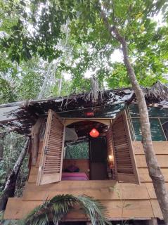 Mariri Jungle Lodge - Alto Paraíso de Goiás - 3