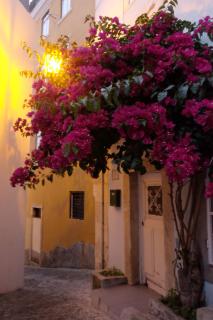 Proa d'Alfama Guest House - Lisboa - 1