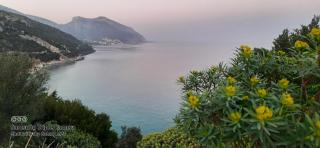 Amazing View Home - Cala Gonone - 7