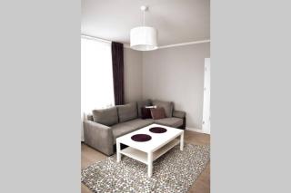 Modern apartment in Tarnow - Tarnów - 7