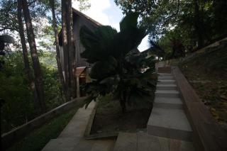 De Serenity - Exclusive Jungle Retreat - Seremban - 8