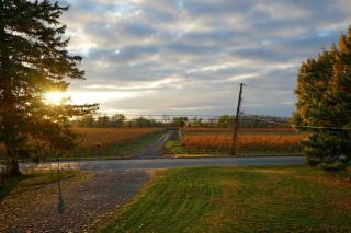 Arrowstone Farmhouse in Historic Old Town - Niagara on the Lake - 5