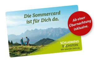Chalet - Appartementhaus Alma - 9