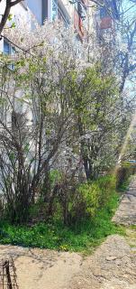 Nordapartament - Suceava - 9