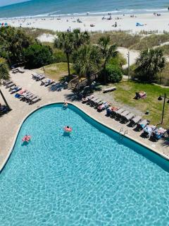 426 Belle Vue Magnificent Oceanfront Studio Pet friendly - 6