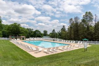 Spring Gulch Lodge 11 - Mount Airy - 9