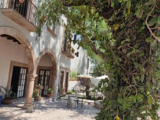 Casa Goyri San Miguel de Allende - San Miguel de Allende - 1