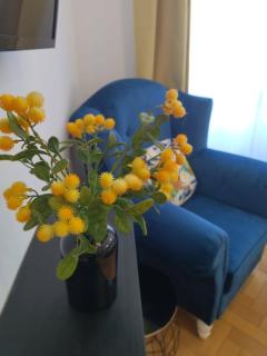 Lionas Central Apartment - Bistriţa - 2