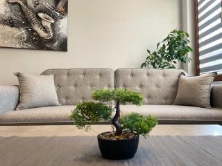 Shushi's Central Studio Apartment - Plovdiv - 3