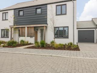 Periwinkle - Newquay - 0