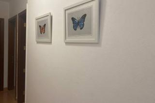 Apartamento Cristina 3D - Morro Jable - 5