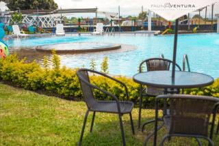 Apartamento Faunaventura cerca Parque del Café con piscina - Montenegro - 4