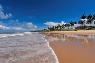 Praia do Forte Ibero Star- Apartamento Mediterraneo 2 Iberostate - Praia do Forte - 5
