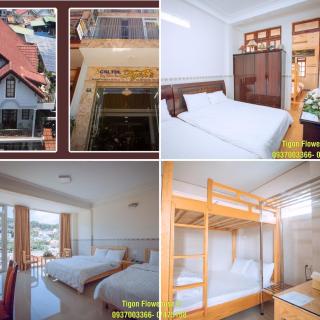 Tigon Flower House - Da Lat - 8