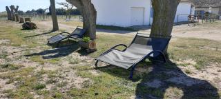 Le Mas de Mon Pere - Saintes-Maries-de-la-Mer - 1