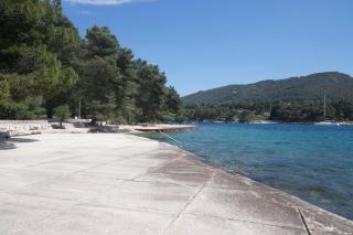 Apartment 4 Olives - Stari Grad - 2