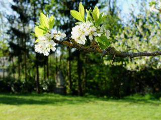 Les Prémontrés - 3