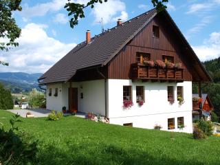 Apartmány Vlasta - Paseky nad Jizerou - 7