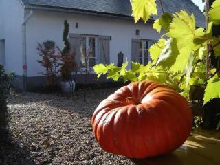 Gite Cottage d'Hamicourt aux Portes de la Baie de Somme - Hamicourt - 2