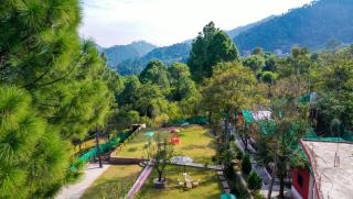 Kasauli Nature Inn - 2