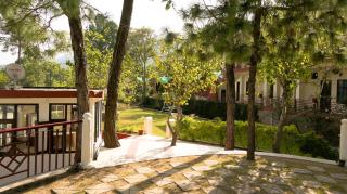 Kasauli Nature Inn - 1