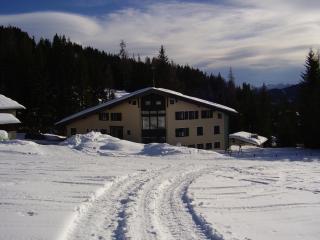 Appartementhaus Hochkönig 1- Birgkar - 5