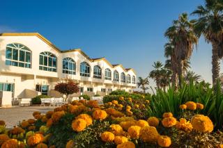 Sandy Beach Hotel & Resort - Al Aqah - 6