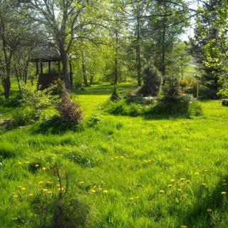 Agrochillout Gospodarstwo agroturystyczne - 0