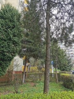 Apartament Maysa - Cluj-Napoca - 6