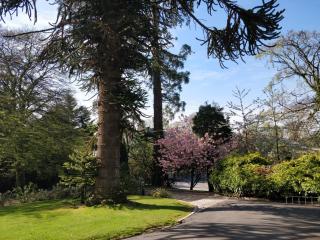 Banoge House - Donaghcloney - 7
