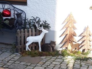 Feichtlhof - 6