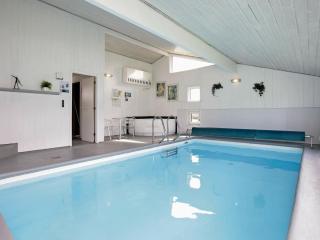 Luxury Pool House in Lonstrup - By Traum Ferienwohnungen - 8